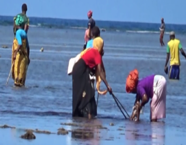 Fermeture temporaire de la zone de pêche à Vassi et diversification de la production agricole dans des périmètres irrigués dans la zone de Moya pour renforcer la résilience des pêcheurs et des agriculteurs